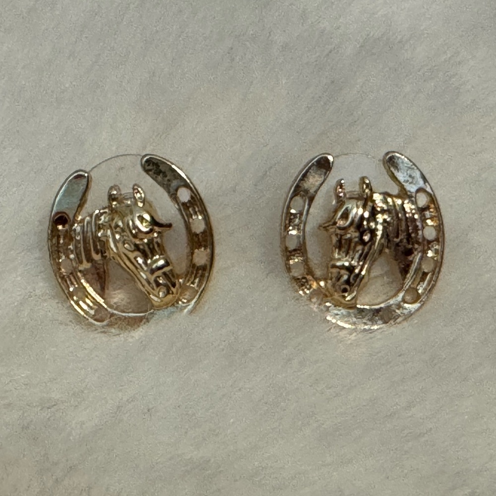 Horseshoe Earrings